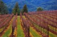 La Rioja